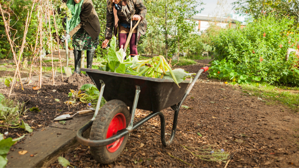 Garden Clearance Meath