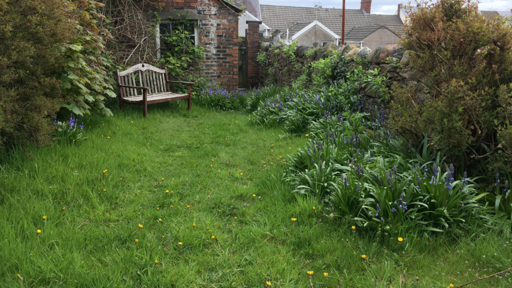 Garden Clearance Meath