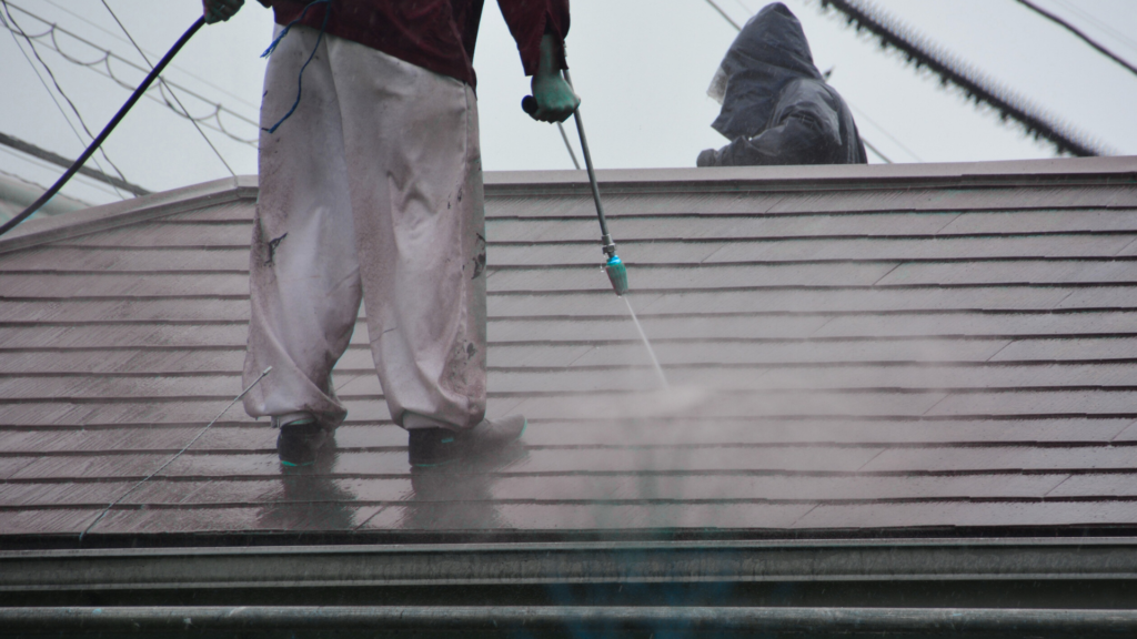 Roof Cleaning Meath