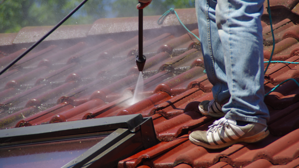 Roof Cleaning Meath